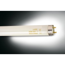 Leuchtstofflampe Standard T8 mit hohem  Lichtstrom Luxe 36W 